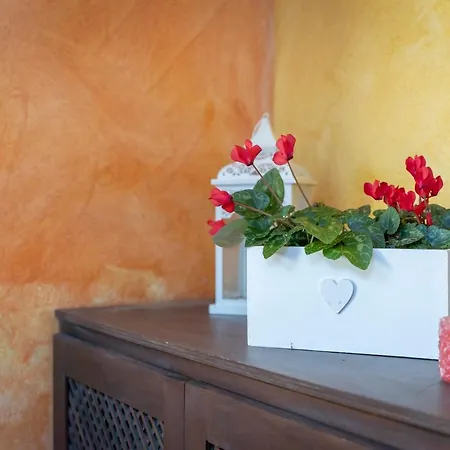 Dei Fiori *